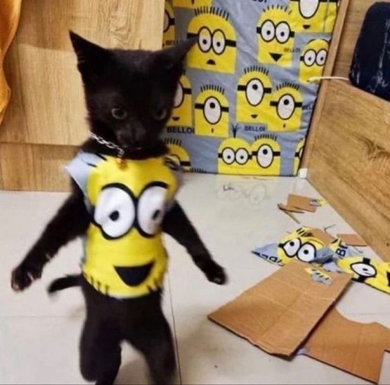 Random image